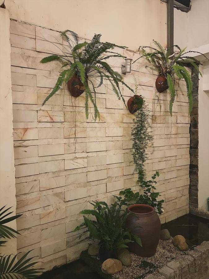Toto Hostel 岘港 外观 照片
