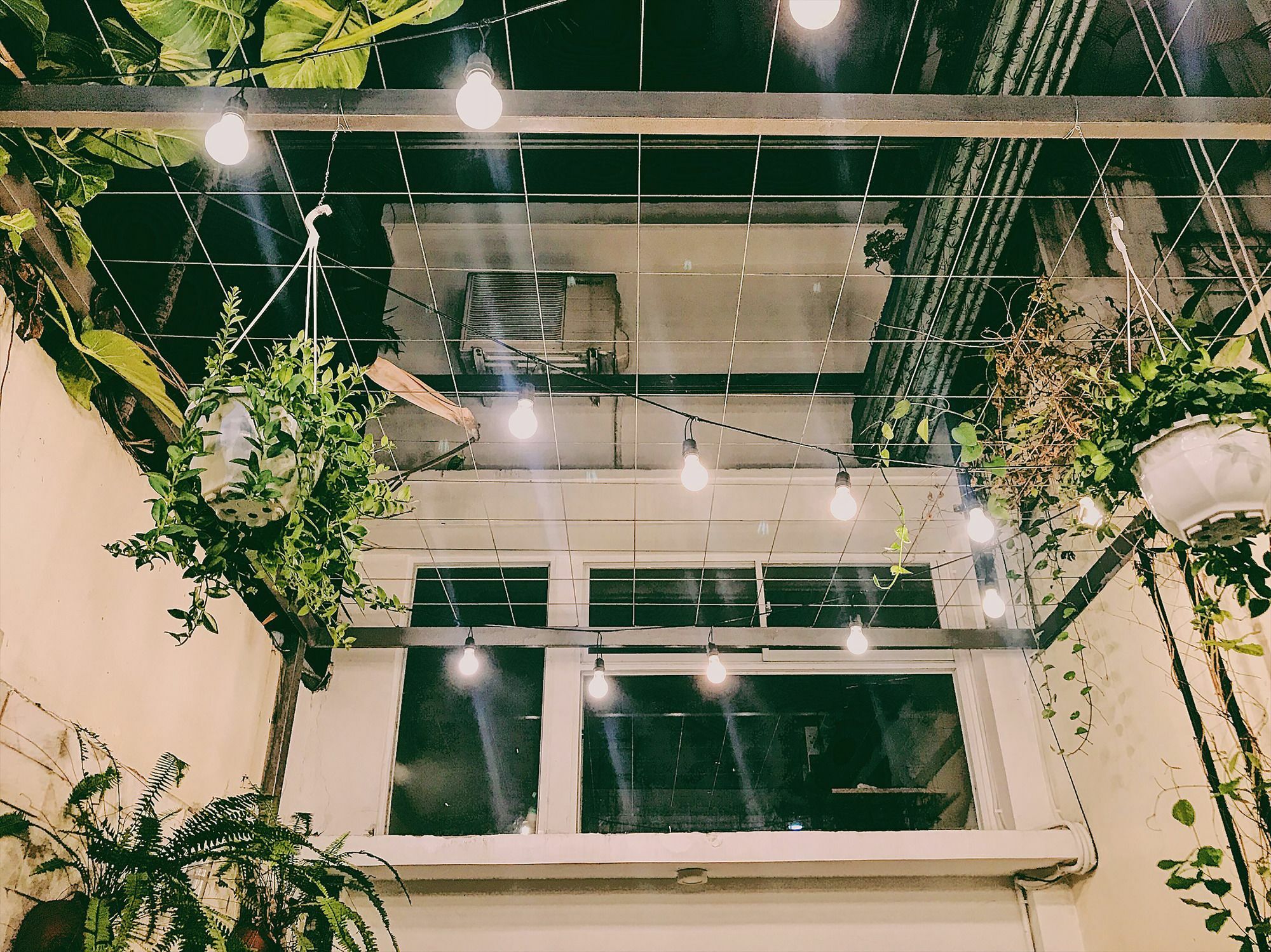 Toto Hostel 岘港 外观 照片